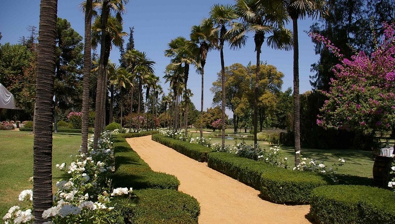 undurraga-vinicola-chile