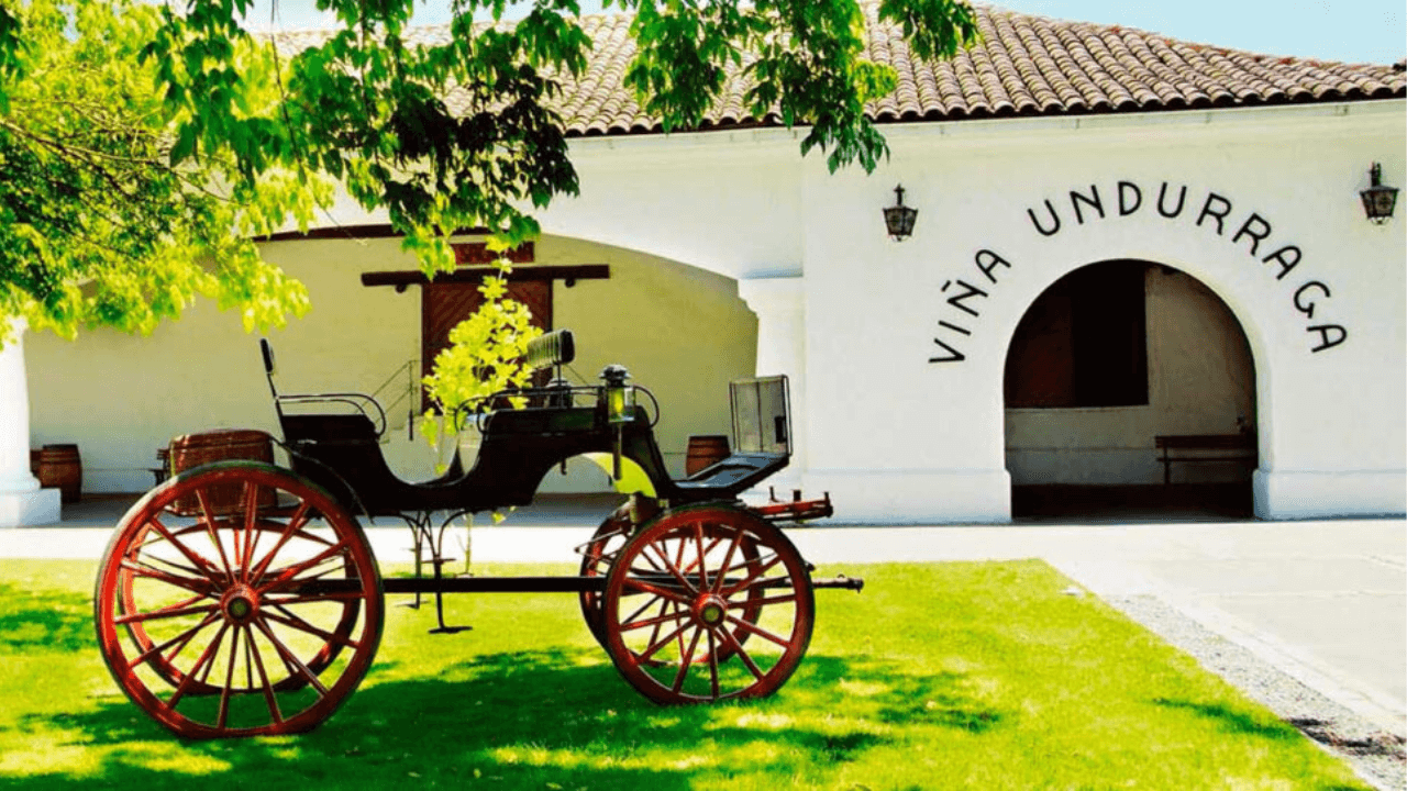 vinicola-undurraga-1280×720 vinicola-undurraga-1280x720