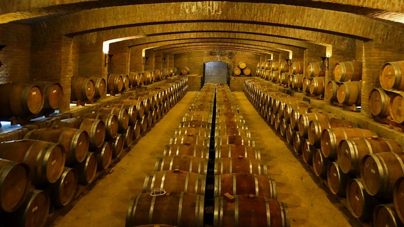 vinicola-undurraga-chile